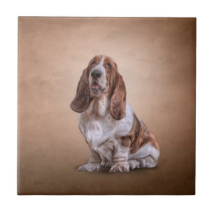 Azulejo De Cerâmica Cão engraçado de tiragem de Basset Hound