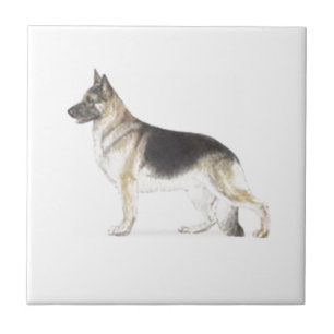 Azulejo De Cerâmica Cão german shepherd