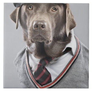 Azulejo De Cerâmica Cão na camisola e no boné