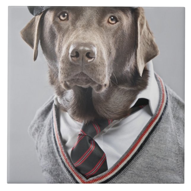 Azulejo De Cerâmica Cão na camisola e no boné (Frente)