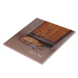 Azulejo De Cerâmica Cão no Resto