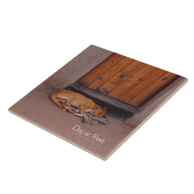 Azulejo De Cerâmica Cão no Resto (Lateral)