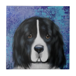 Azulejo De Cerâmica Cão Terra Nova