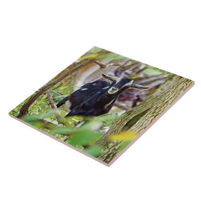 Azulejo De Cerâmica Capim sorridente (Lateral)