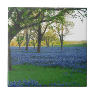 Azulejo De Cerâmica Capotas do azul de Texas