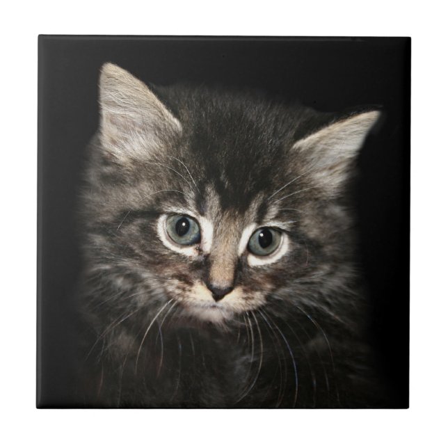 Azulejo De Cerâmica Cara do gatinho (Frente)