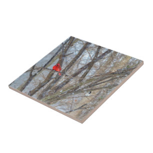 Azulejo De Cerâmica Cardeal e Chickadee