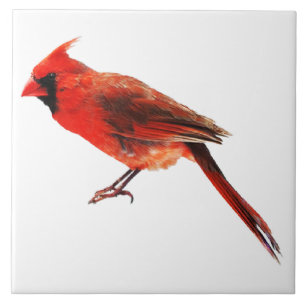 Azulejo De Cerâmica Cardeal(s)