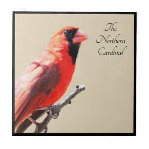 Azulejo De Cerâmica Cardinal