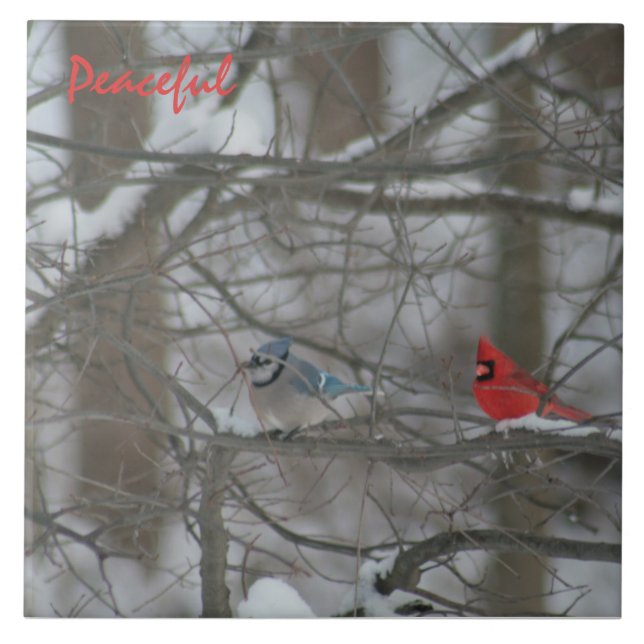 Azulejo De Cerâmica Cardinal and Jay (Frente)
