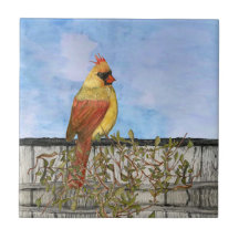 Azulejo de cerâmica cardinal feminino