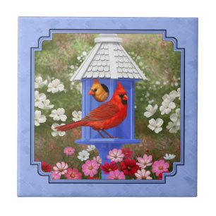 Azulejo De Cerâmica Cardinhos e Azul-Casinha-redonda