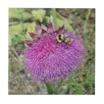 Cardo de inclinação -