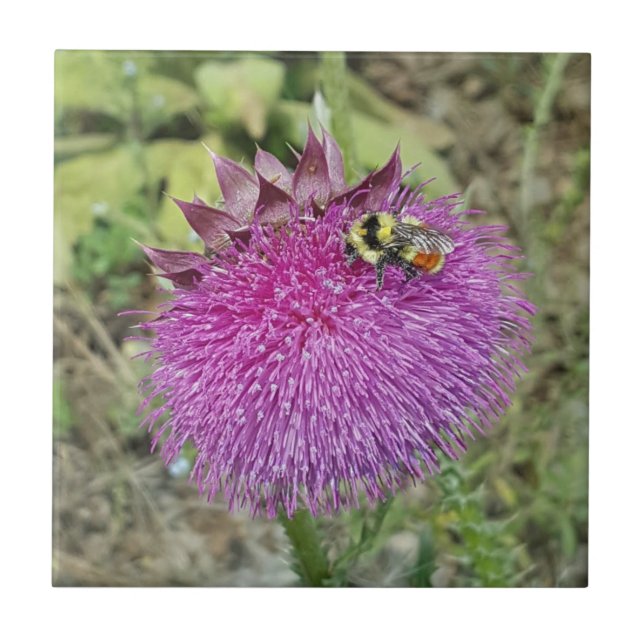 Azulejo De Cerâmica Cardo de inclinação - (Frente)