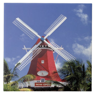 Azulejo De Cerâmica Caribe, Aruba. Moinho Antigo, convertido em 'Moinh