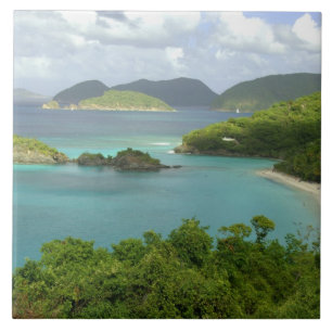 Azulejo De Cerâmica Caribe, Ilhas Virgens Americanas, St. John, Tronco