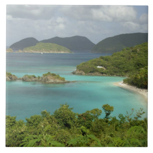 Azulejo De Cerâmica Caribe, Ilhas Virgens dos EUA, St. John, Tronco