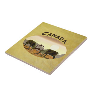 Azulejo De Cerâmica Cariou Duel - Canadá