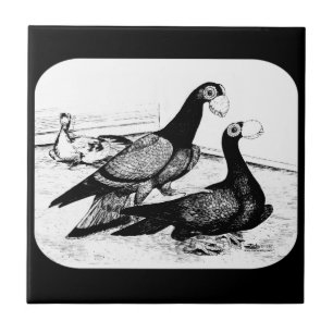 Azulejo De Cerâmica Carrier Pigeons Loft Cena 1980