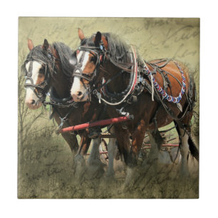 Azulejo De Cerâmica Cartão-postal Vintage Weathered Clydesdale