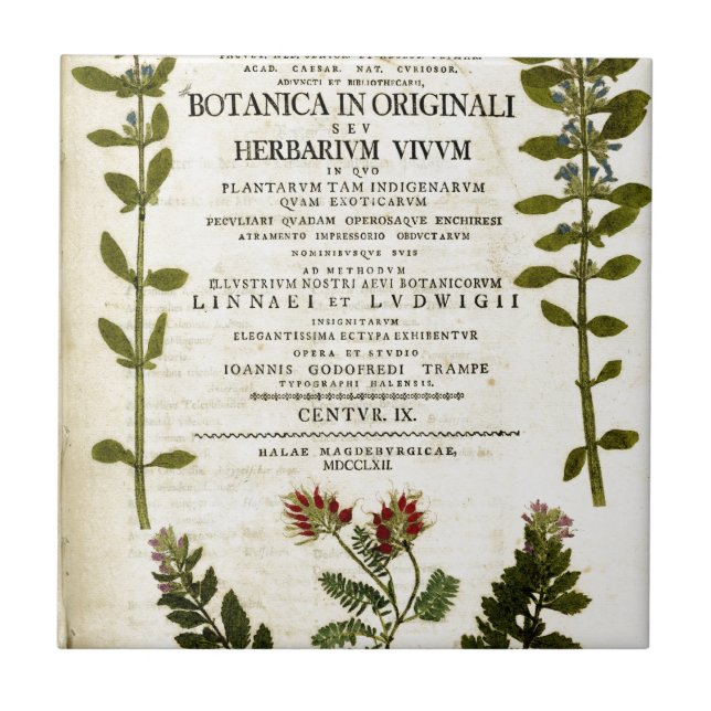 Azulejo De Cerâmica Cartaz de Botão Antiquado (Frente)