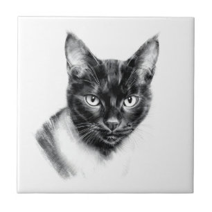 Azulejo De Cerâmica Carvão de Gato
