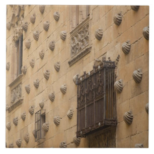 Azulejo De Cerâmica Casa de las Conchas, Casa das Conchas