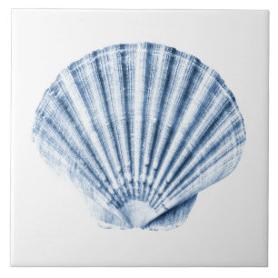 Azulejo De Cerâmica Casa de Praia Náutica Concha de Marisco Azul de De