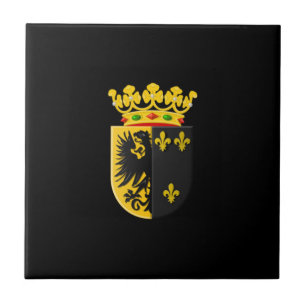 Azulejo De Cerâmica Casaco de armas de Workum