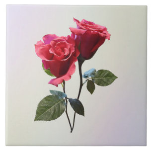 Azulejo De Cerâmica Casal de Rosas