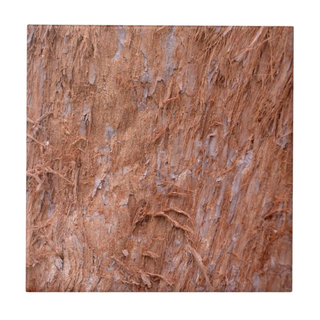 Azulejo De Cerâmica casca de árvore na floresta (Frente)