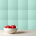 Azulejo De Cerâmica Casca de turquesa clara de cor simples<br><div class="desc">Espuma do mar de cor simples design de menta de turquesa clara.</div>