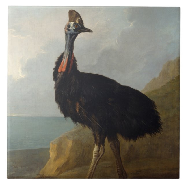 Azulejo De Cerâmica Cassowary (Ave Australiana) (Arte Animal Selvagem) (Frente)