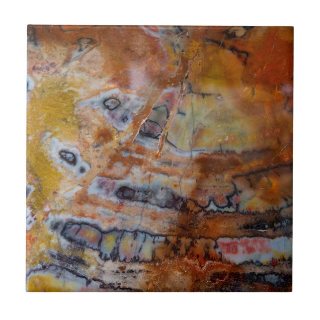 Azulejo De Cerâmica Castanho de Madeira Petrificado (Frente)