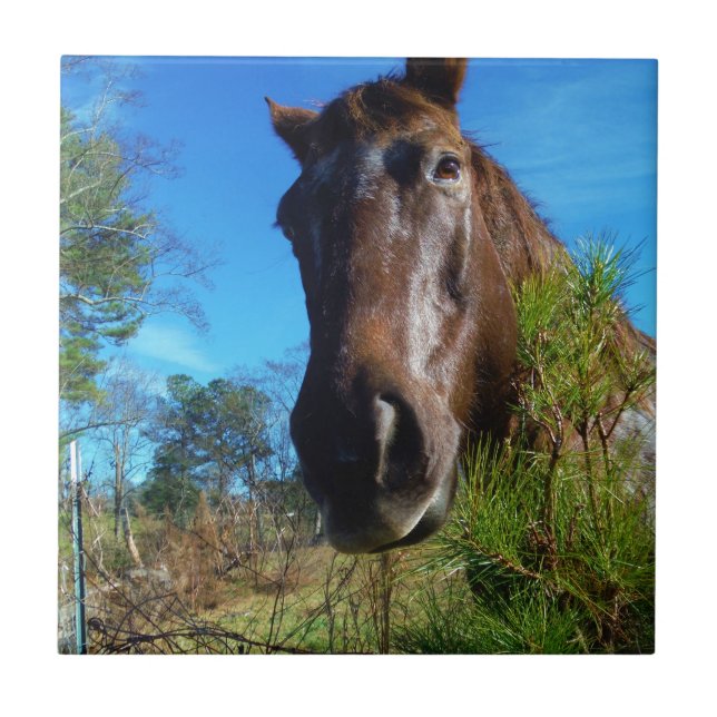 Azulejo De Cerâmica Castanho e Creme Corante Canto Azul (Frente)