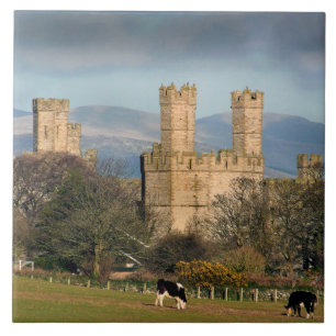 Azulejo De Cerâmica Castelo de Caernarfon País de Gales.
