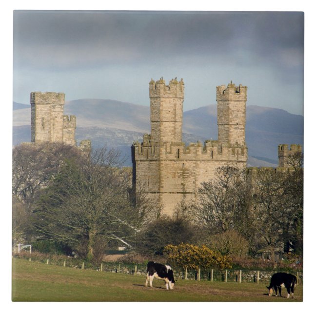 Azulejo De Cerâmica Castelo de Caernarfon País de Gales. (Frente)