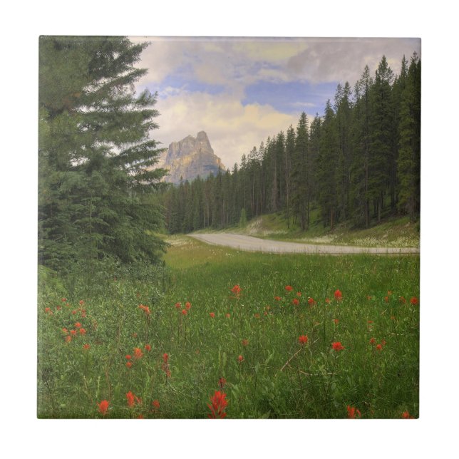 Azulejo De Cerâmica Castle Mountain Banff (Frente)