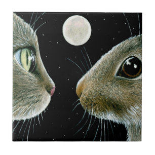 Azulejo De Cerâmica Cat 413 Rabbit Moon
