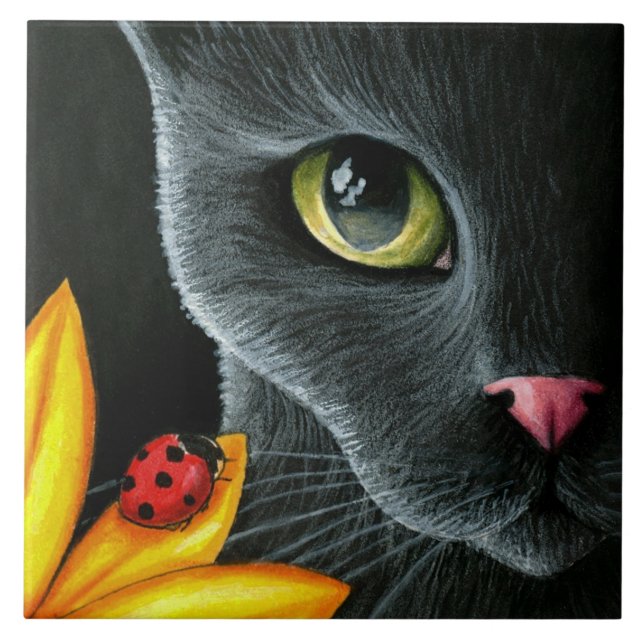 Azulejo De Cerâmica Cat 510 (Frente)