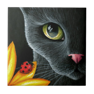 Azulejo De Cerâmica Cat 510