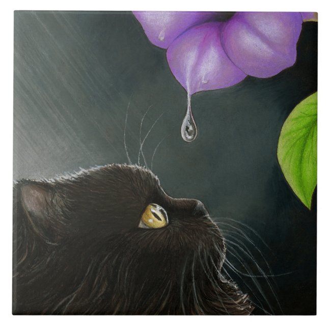 Azulejo De Cerâmica Cat 514 Black Persian (Frente)