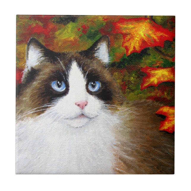 Azulejo De Cerâmica Cat 566 outono (Frente)