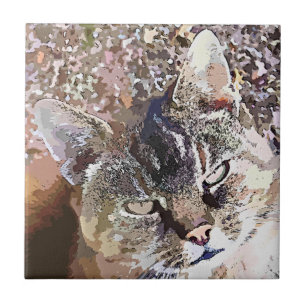 AZULEJO DE CERÂMICA CAT DE GATO MALHADO