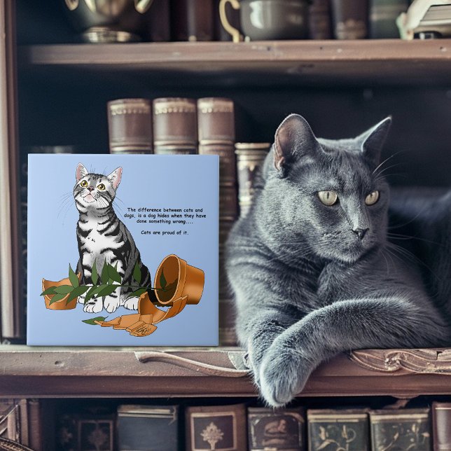 Azulejo De Cerâmica Cat. de Incêndio Vegetal (Criador carregado)