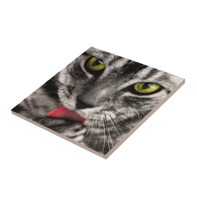 Azulejo De Cerâmica Cat Lick (Lateral)