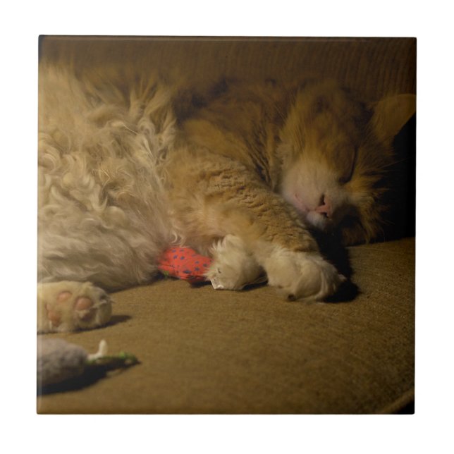 Azulejo De Cerâmica Cat Nap (Frente)