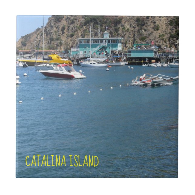 AZULEJO DE CERÂMICA  CATALINA ILHA CERÂMICA AZULEJO DA CASA VERDE (Frente)