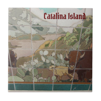 AZULEJO DE CERÂMICA CATALINA ILHA CÉRAMICA CATALINA BUFFALO