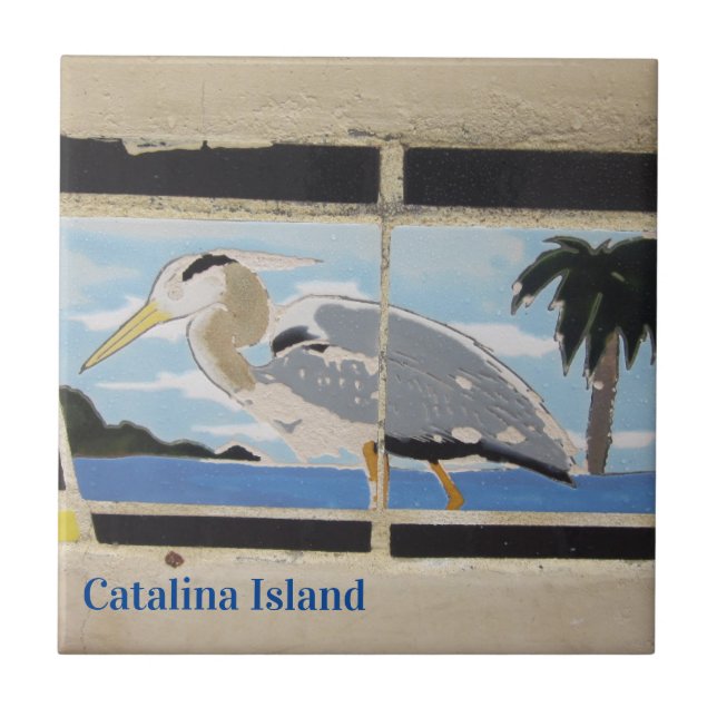 AZULEJO DE CERÂMICA  CATALINA ISLAND CERAMIC TILE BIRD OF CATALINA (Frente)